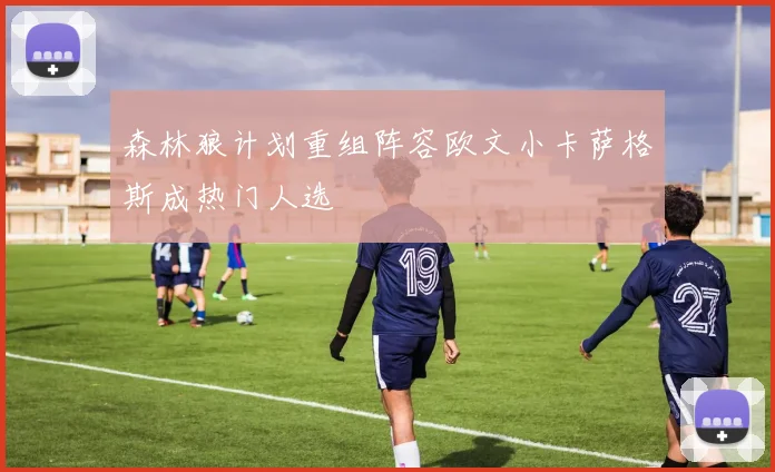 森林狼计划重组阵容欧文小卡萨格斯成热门人选