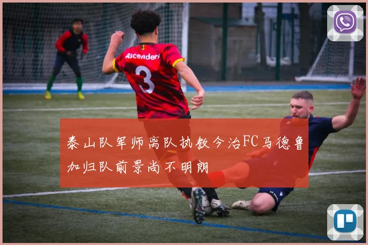 泰山队军师离队执教今治FC马德鲁加归队前景尚不明朗
